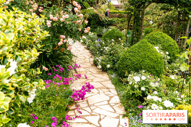 Le Jardin des Aubépines a Auffargis  - A7C01418