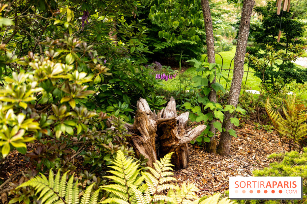 Le Jardin des Aubépines a Auffargis