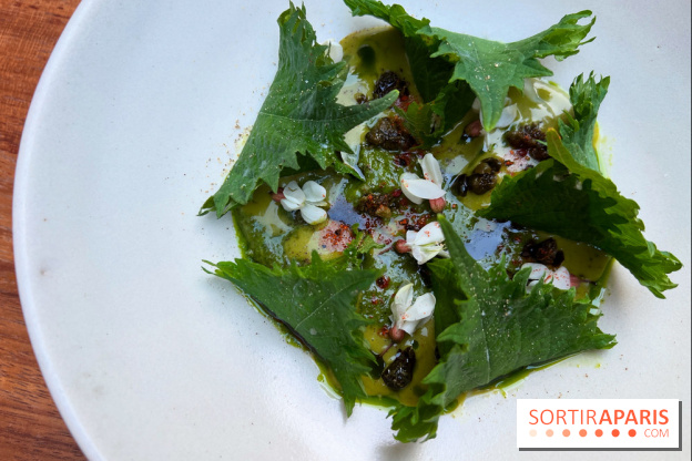 Pantobaguette - Ravioles de shiso ricotta fumée