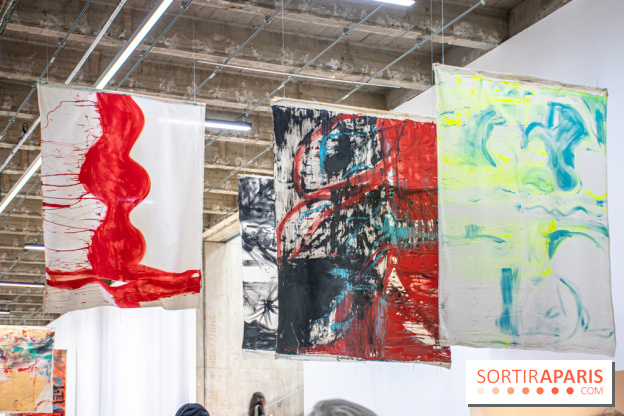 Exposition Disco de Vivan Sutter au Palais de Tokyo - DSC 3039