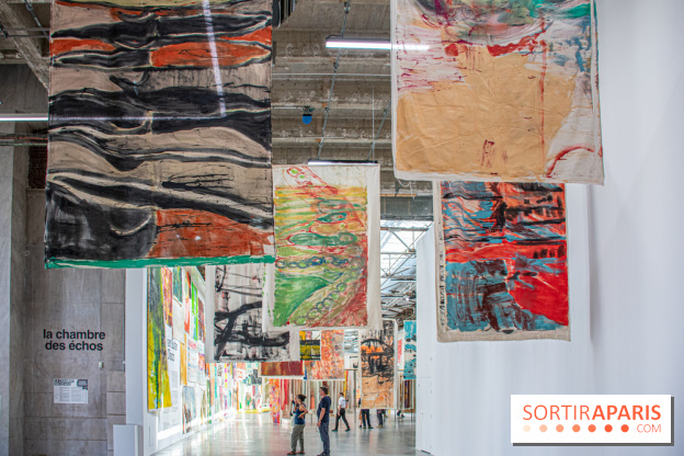 Exposition Disco de Vivan Sutter au Palais de Tokyo - DSC 3044