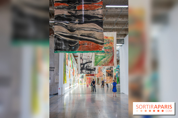 Exposition Disco de Vivan Sutter au Palais de Tokyo - DSC 3046