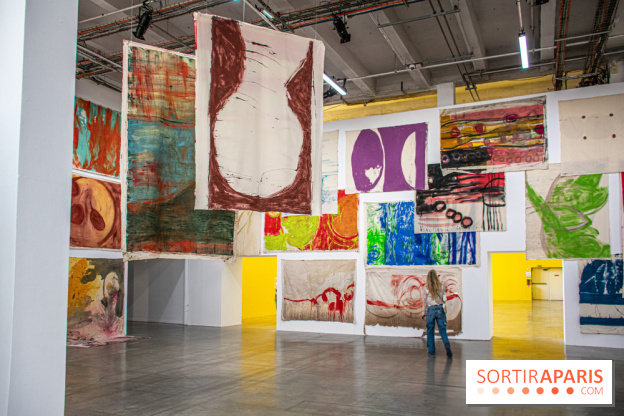 Exposition Disco de Vivan Sutter au Palais de Tokyo - DSC 3054