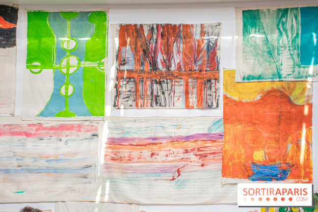 Exposition Disco de Vivan Sutter au Palais de Tokyo - DSC 3055