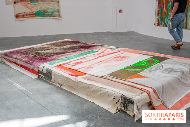 Exposition Disco de Vivan Sutter au Palais de Tokyo - DSC 3059