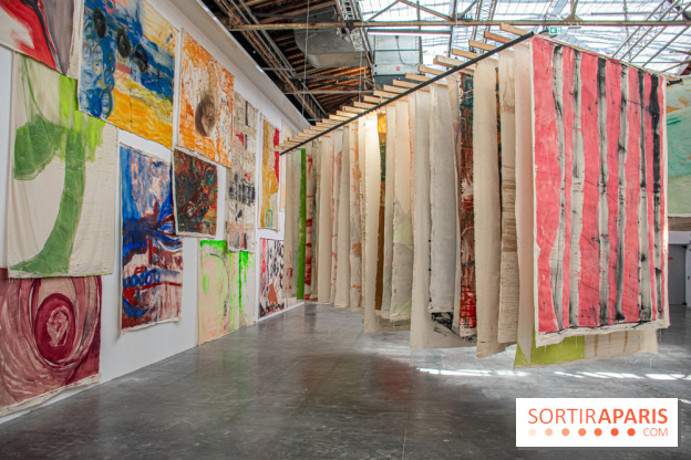 Exposition Disco de Vivan Sutter au Palais de Tokyo - DSC 3061