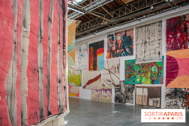 Exposition Disco de Vivan Sutter au Palais de Tokyo - DSC 3062