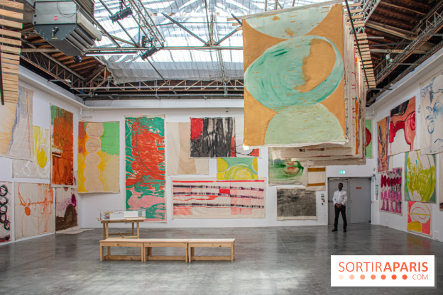 Exposition Disco de Vivan Sutter au Palais de Tokyo - DSC 3063