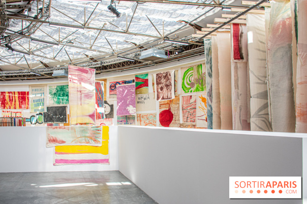 Exposition Disco de Vivan Sutter au Palais de Tokyo - DSC 3065