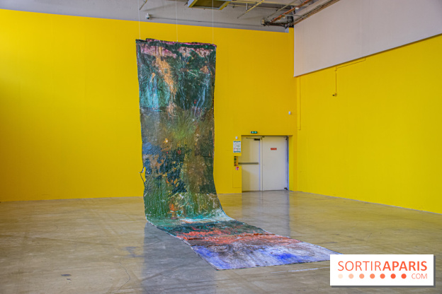 Exposition Disco de Vivan Sutter au Palais de Tokyo - DSC 3067