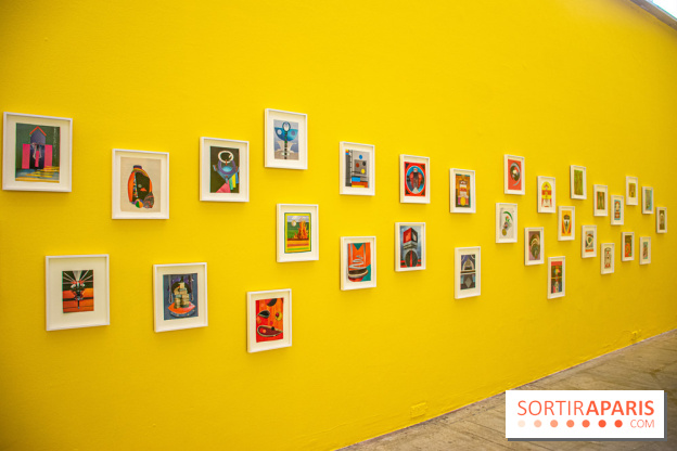 Exposition Disco de Vivan Sutter au Palais de Tokyo - DSC 3069