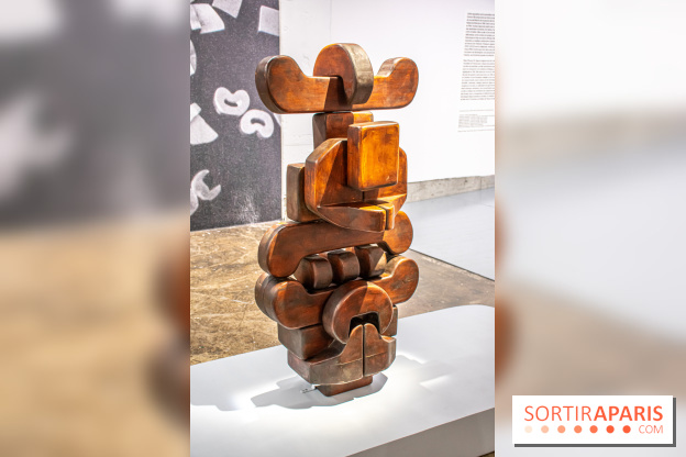 Exposition de Thảo Nguyên Phan au Palais de Tokyo - DSC 3077