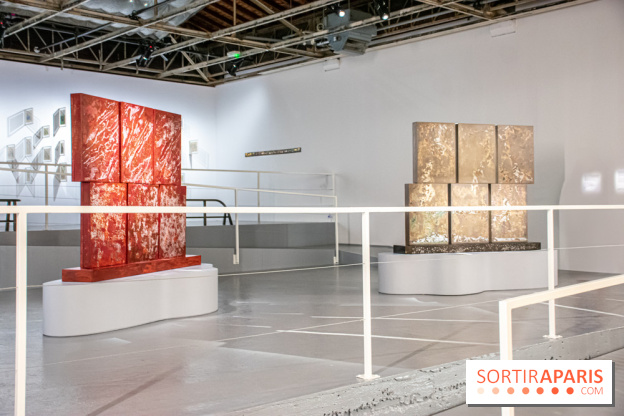 Exposition de Thảo Nguyên Phan au Palais de Tokyo - DSC 3093