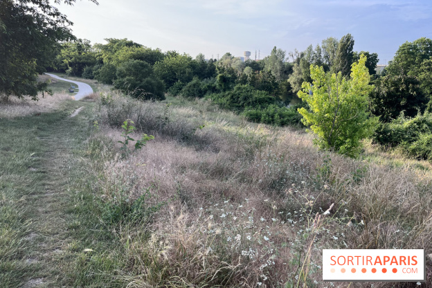 Le parc de l'Île-Saint-Denis - nos photos - 7B5E50E8 A9AF 4D82 AC6B FBB16863195F