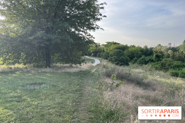 Le parc de l'Île-Saint-Denis - nos photos - 96DC1E52 629A 41C7 847C 4D6BC35C470A