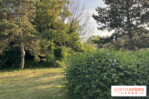 Le parc de l'Île-Saint-Denis - nos photos - 3F146E9F D3AF 4C8E AD51 F90D85BAC341