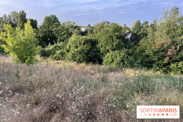 Le parc de l'Île-Saint-Denis - nos photos - C60ACAF0 A53D 4E50 8266 1C99F754FAE5