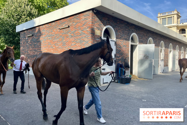 Jeuxdi by Longchamp - chevaux 