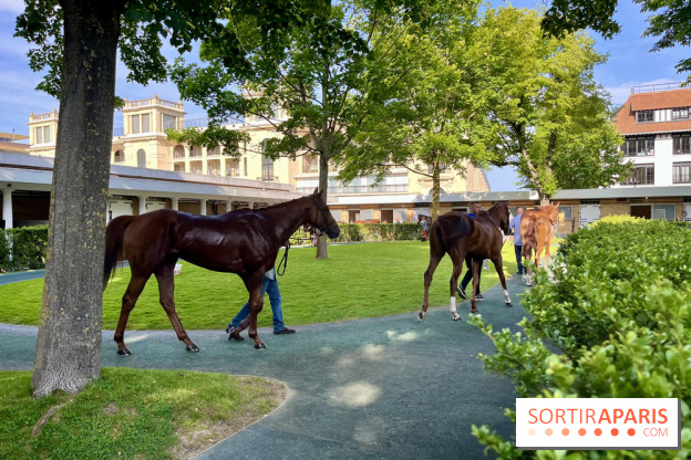 Jeuxdi by Longchamp - chevaux