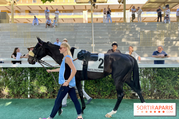Jeuxdi by Longchamp