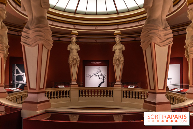 Han Rooftop, le rooftop du Musée Guimet en mode Coréenne - A7C02201