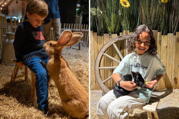 Le Monde de Noé : L’expérience immersive sur le monde animal 