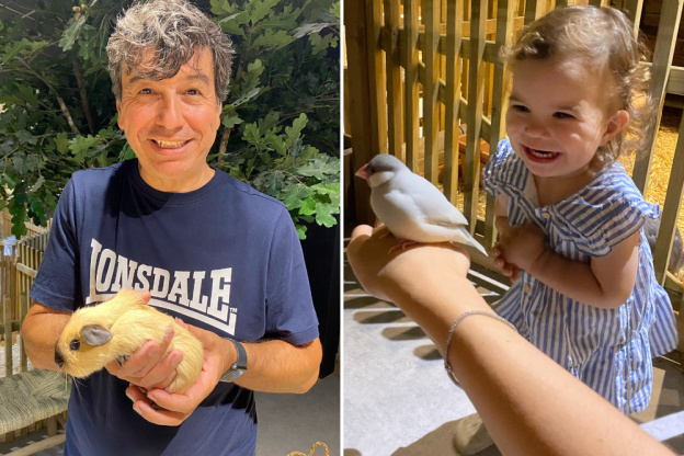 Le Monde de Noé : L’expérience immersive sur le monde animal 