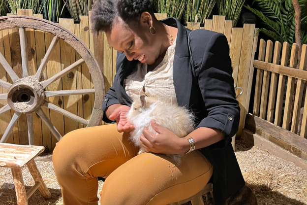 Le Monde de Noé : L’expérience immersive sur le monde animal 