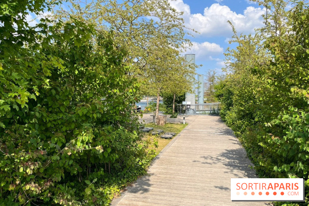 Archipel des Berges Niki de Saint-Phalle - nos photos - D3C6C7FC 28FF 43BE ADD1 EDF11E16DD17