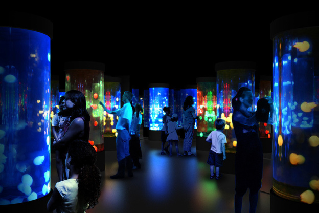 Disco Méduses à l'Aquarium Sea Life