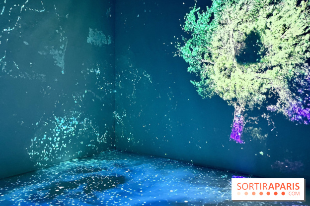 Topologie de l’Eau : Roches, Plantes et Vent - IMG 3242