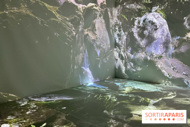 Topologie de l’Eau : Roches, Plantes et Vent