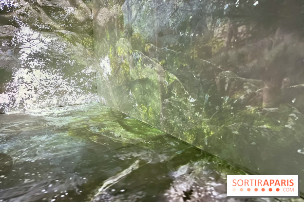 Topologie de l’Eau : Roches, Plantes et Vent