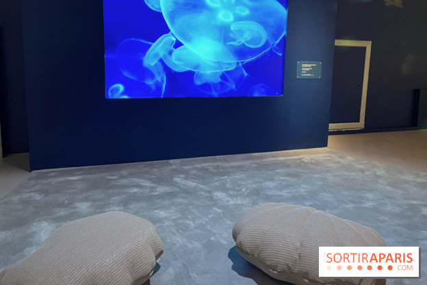 Transparence au Palais des enfants - nos photos - A9C8FEA1 98EA 4475 B97F A6EDF86F4C96