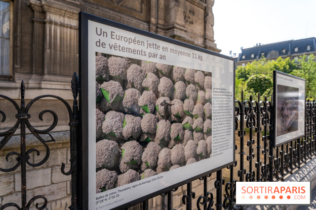 Hôtel de Ville - De Paris à Belem - Forêt Urbaine - Obey  - A7C03051