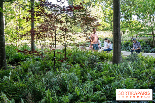 Hôtel de Ville - De Paris à Belem - Forêt Urbaine - Obey  - A7C03326