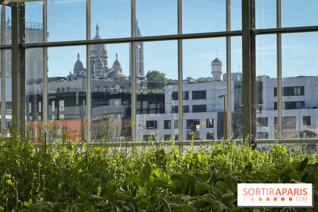Rooftop Plantation Paris