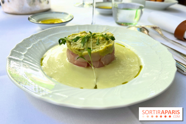 Patio terrasse La Réserve Paris - Ceviche de daurade