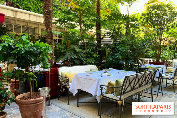 Patio terrasse La Réserve Paris - Terrasse