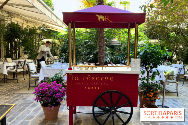 Patio terrasse La Réserve Paris - Terrasse