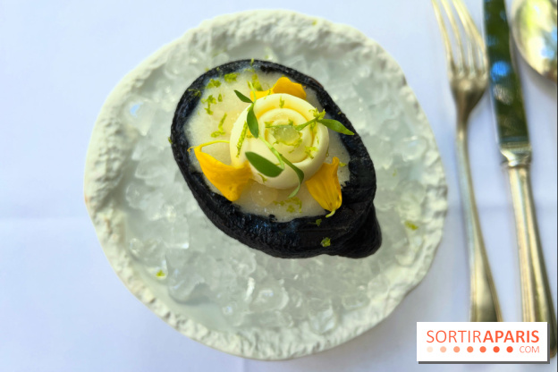 Patio terrasse La Réserve Paris - Citron givré