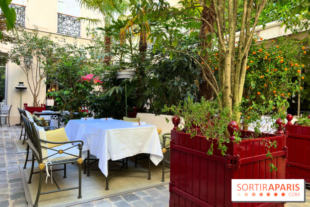 Patio terrasse La Réserve Paris - Terrasse