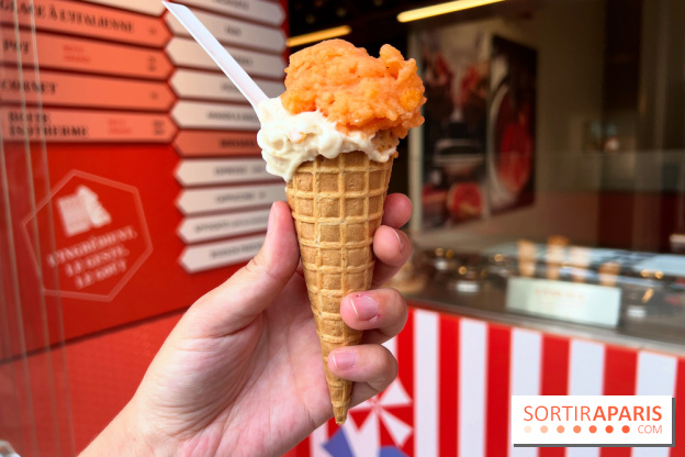 La Glace Alain Ducasse - Sorbet pamplemousse-vermouth, glace cacahuètes