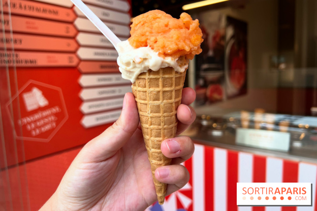 La Glace Alain Ducasse - Sorbet pamplemousse-vermouth, glace cacahuètes