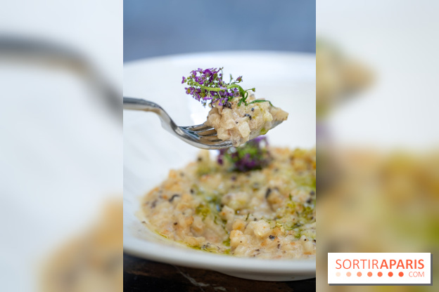 Maison Delano restaurant et terrasse cachée Paris 8e - céleri façon risotto