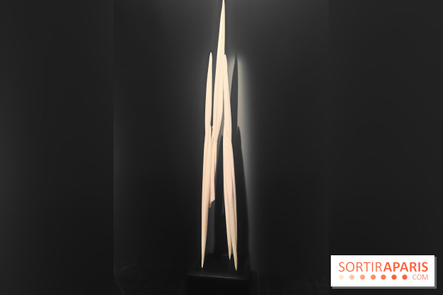 Les sept sens célestes : l'exposition qui mélange les genres et les époques à l'Hôtel de la Marine - fotor 1750928970043