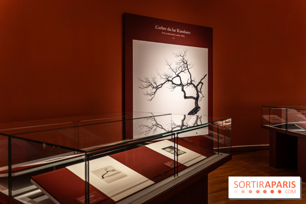 Exposition Haïkus d’argent, l’Asie photographiée par Michael Kenna au MuséeGuimet, les photos - A7C02215