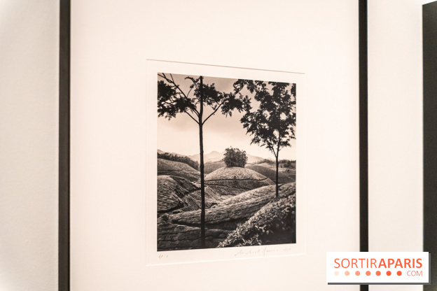 Exposition Haïkus d’argent, l’Asie photographiée par Michael Kenna au MuséeGuimet, les photos