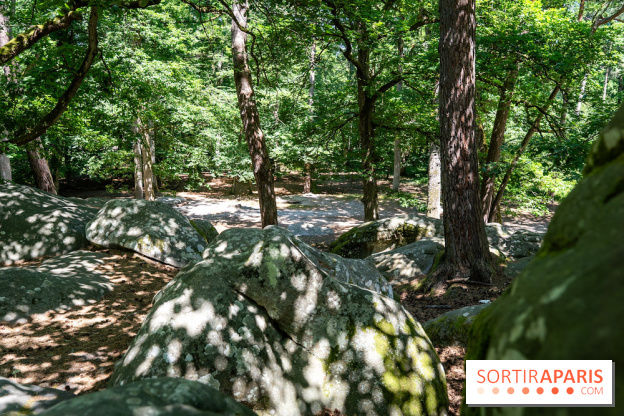 La Folie Barbizon, l'hôtel et restaurant renait entre art et nature - les photos  - A7C03869