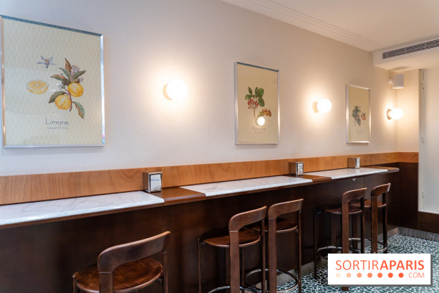 Pedone, le glacier Italien Paris 1er